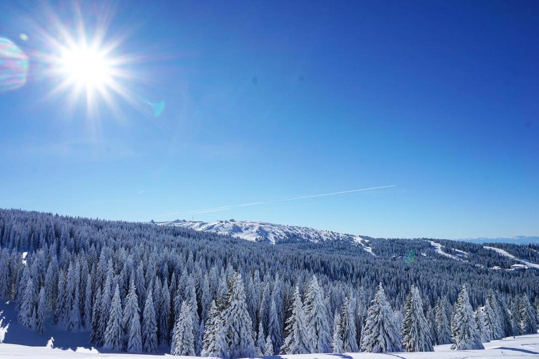 Milmari Boutique Apartment S4 Kopaonik Kültér fotó